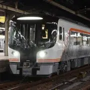 せいらだいこんの画像