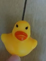 ciの画像