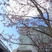 natsumiの画像
