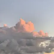 ohasiの画像