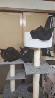 ふか・とも＊(=゜ω゜=)＊