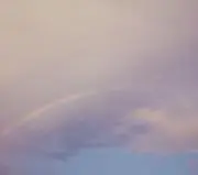 ☆とりりん☆の画像