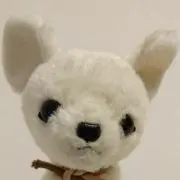つばき