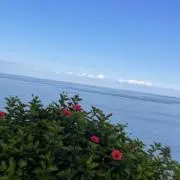 もも♡丁寧に対応しますの画像