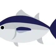 マグロ君の画像