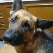 KORO＆ＢＥＮの画像