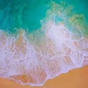 匿名の画像