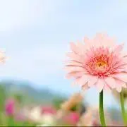 aiの画像