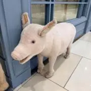 豚の人形の画像