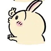 チョココの画像