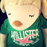 よっちゃん☆の画像