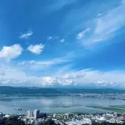 ねこ⭐︎即購入大歓迎です⭐︎の画像