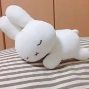 ぽんた※プロフ必読の画像