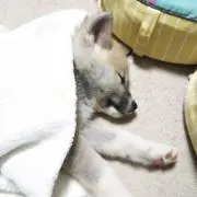 KMYの画像