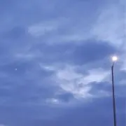 ぷりん