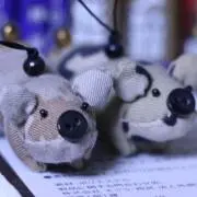 yntの画像