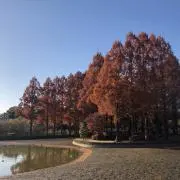 aki_fuyu