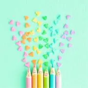 きのこの画像