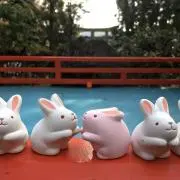 tanaの画像