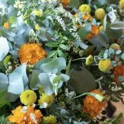 ちゃんこ⚮̈プロフ必読の画像