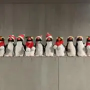 なぁの画像