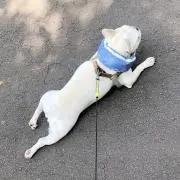 nanaの画像