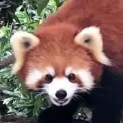 @@の画像