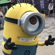 ゆの画像
