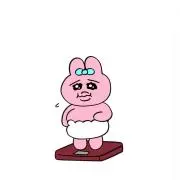 ぱんちゅの画像