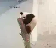 janjanの画像