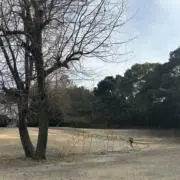 暇好きの画像
