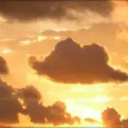 ※プロフ必読※さーもんの画像