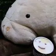 とろろいも