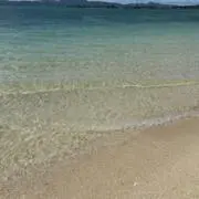 なよんの画像