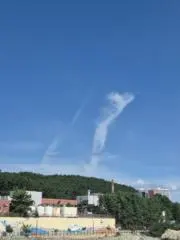 あおいの画像