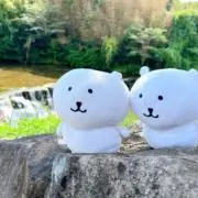 ささきの画像