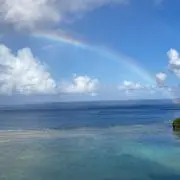 しうまるの画像