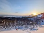 ⛰️Wandererの画像