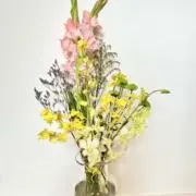 vuwuvの画像