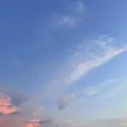 Teeの画像