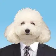 圧倒的塩対応
