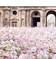 限定品 リモワ RIMOWA 大判トラベルブランケット ウール混 膝掛け