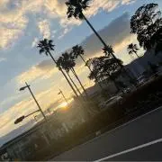 7✌️の画像