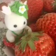 愛￤プロフ必読の画像