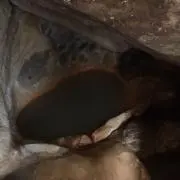 ケイ ワークスの画像