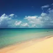 よっしー