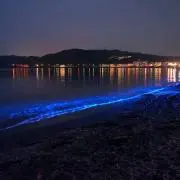 まさの画像