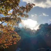 ★の画像