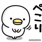 アマチュア