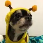 るなの画像